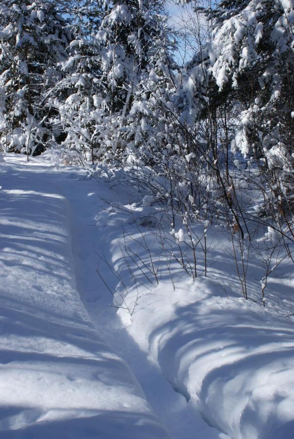 Top Of Algonquin Bed And Breakfast Mattawa Luaran gambar