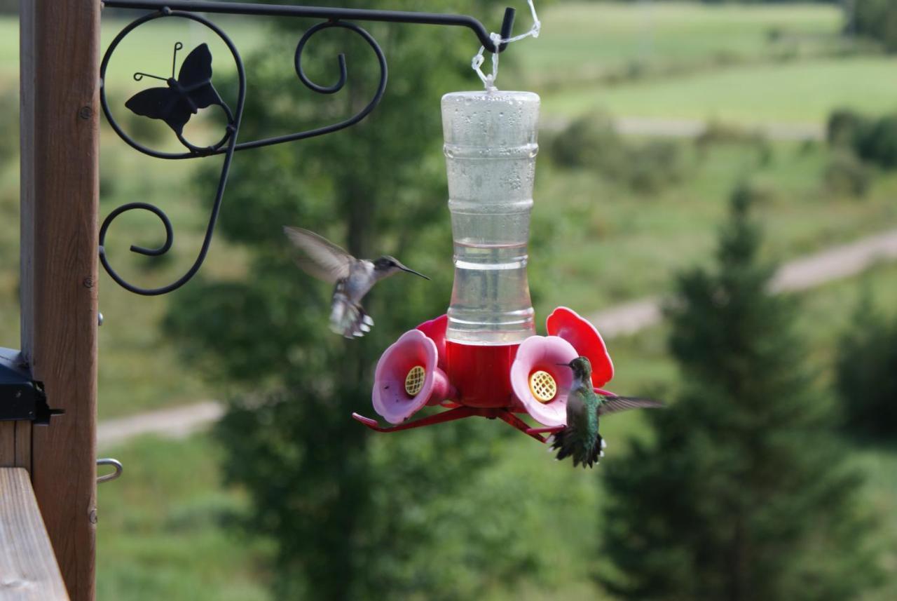 Top Of Algonquin Bed And Breakfast Mattawa Luaran gambar