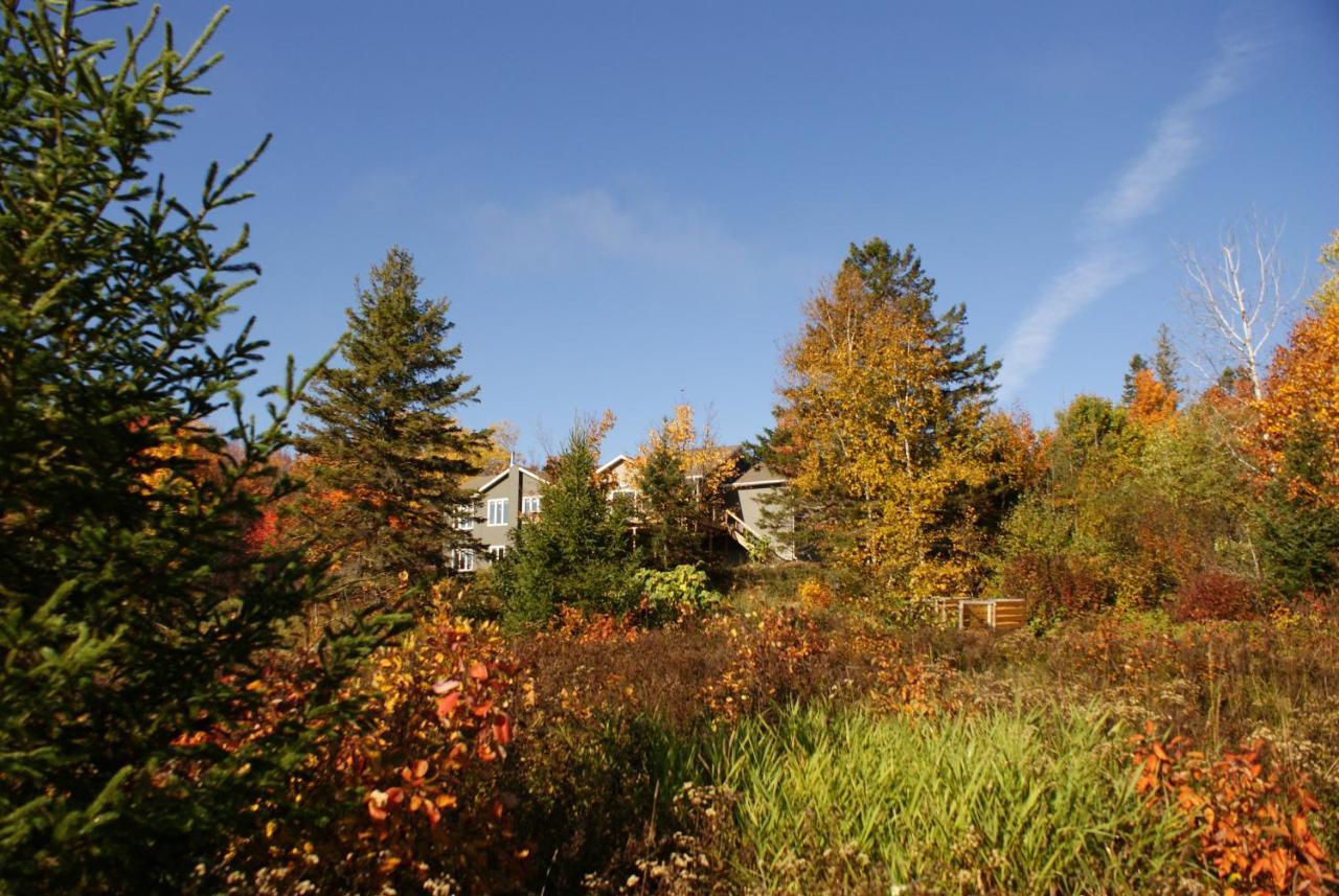Top Of Algonquin Bed And Breakfast Mattawa Luaran gambar